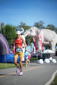 BIB: 
                            <button type="button" onclick="openModal(26543684)" class="btn btn-primary btn-sm float-right btn-popup" data-toggle="modal" data-target=".modal-high-quality">
                        <i class="fas fa-shopping-cart"></i> Add to Cart
                    </button>
                                            <button type="button" onclick="isThisMe(26543684, true)" class="btn btn-success btn-sm float-right btn-popup btn-isme hidden" data-toggle="tooltip" data-placement="bottom" title="นี่คือรูปของคุณใช่ไหม คลิกที่นี่เพื่อเอาเข้าอัลบั้ม">
                        <i class="fas fa-plus"></i> Add to album
                    </button>
                    <button type="button" onclick="isThisMe(26543684, false)" class="btn btn-warning btn-sm float-right btn-popup btn-isnotme hidden">
                        <i class="fas fa-ban"></i> Remove from album
                    </button>